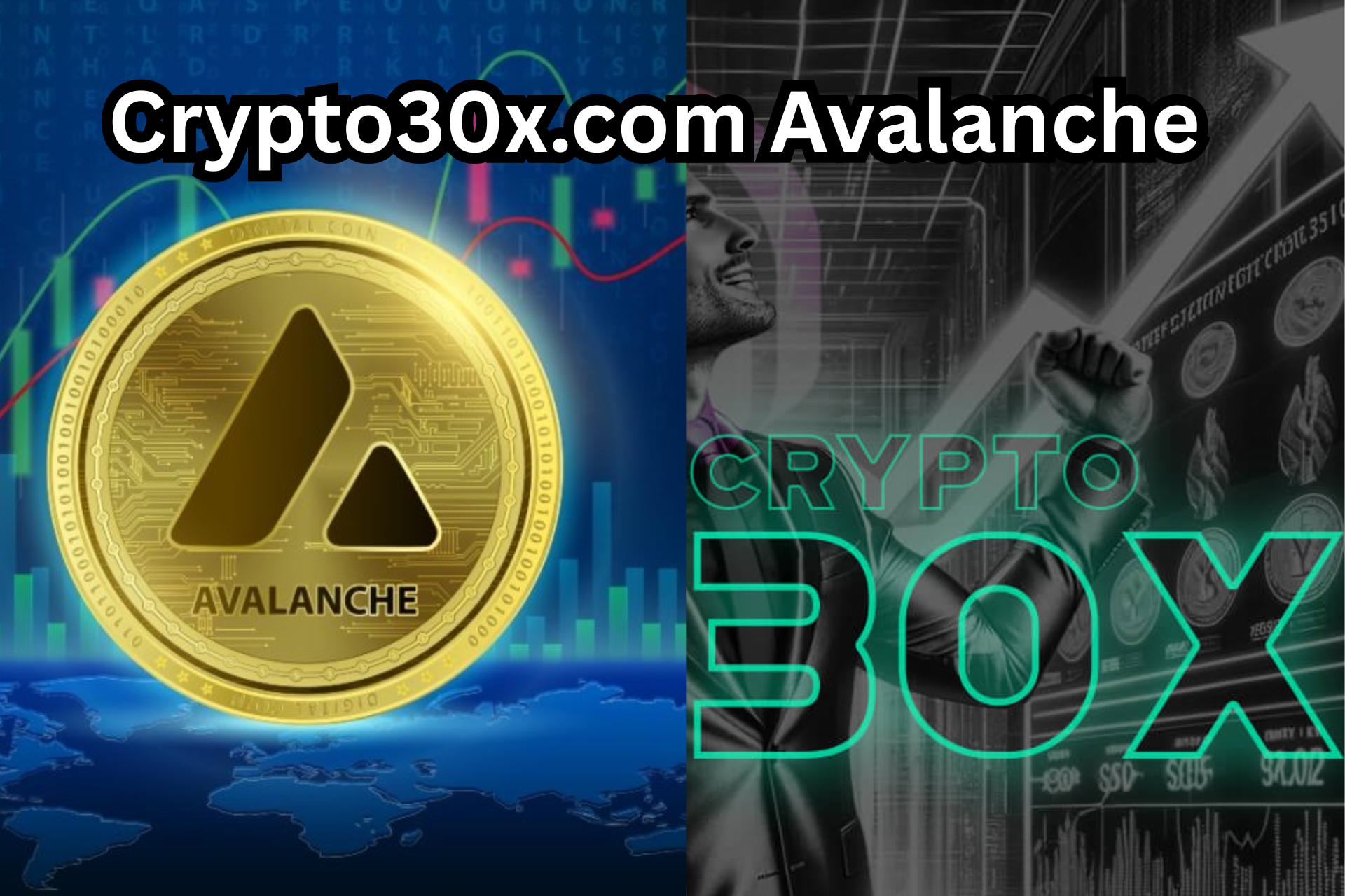 Crypto30x.com Avalanche