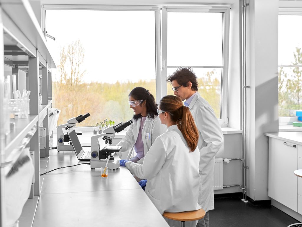 Vinted For Laboratories