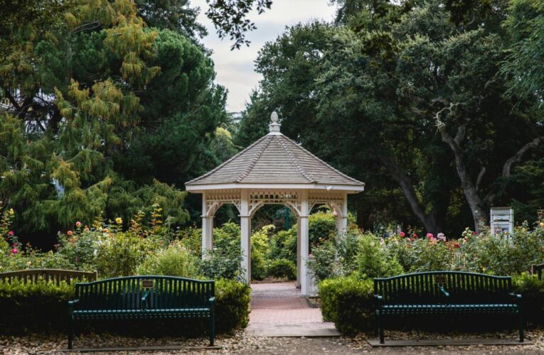 A Complete Guide to Different Types of Outdoor Gazebos