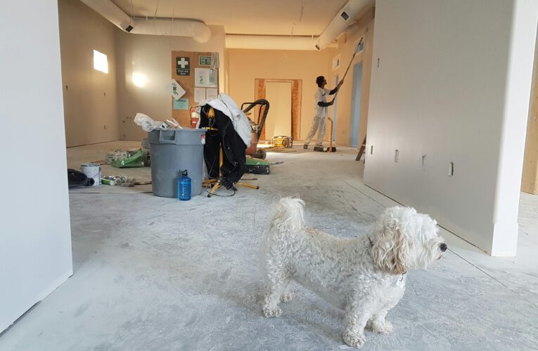 Home Renovations: Sustainable Heating and Cooling Options