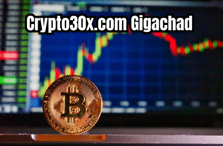 Crypto30x.com Gigachad Complete Beginner’s Guide Explained