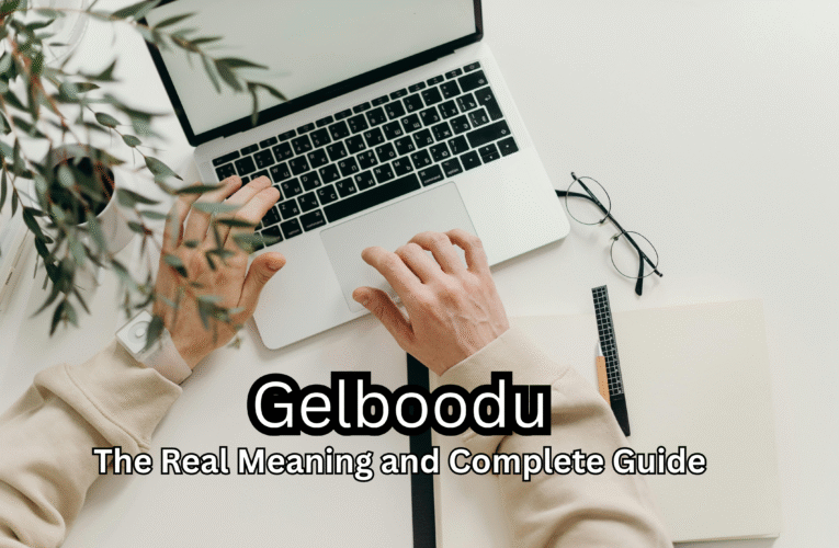 Gelboodu Explained The Real Meaning and Complete Guide