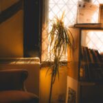 Best Ways to Create a Cozy Indoor Space You'll Never Want to Leave