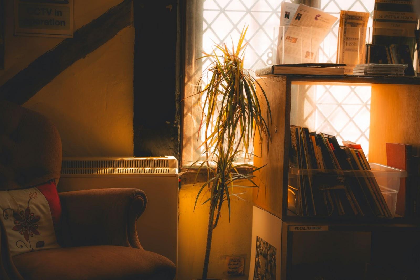 Best Ways to Create a Cozy Indoor Space You'll Never Want to Leave