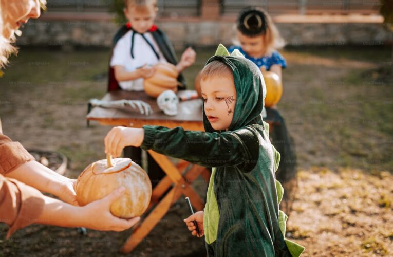 The Ultimate Guide to Nurseries in Australia: What You Need to Know