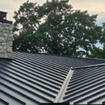 Roof Care Tips Every Homeowner Should Know
