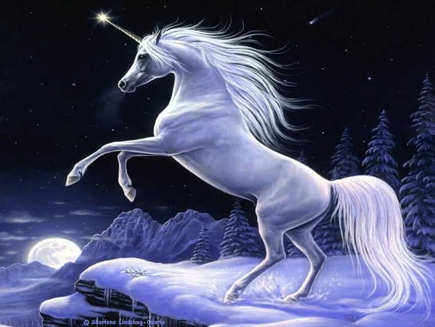 Unicorndelight88