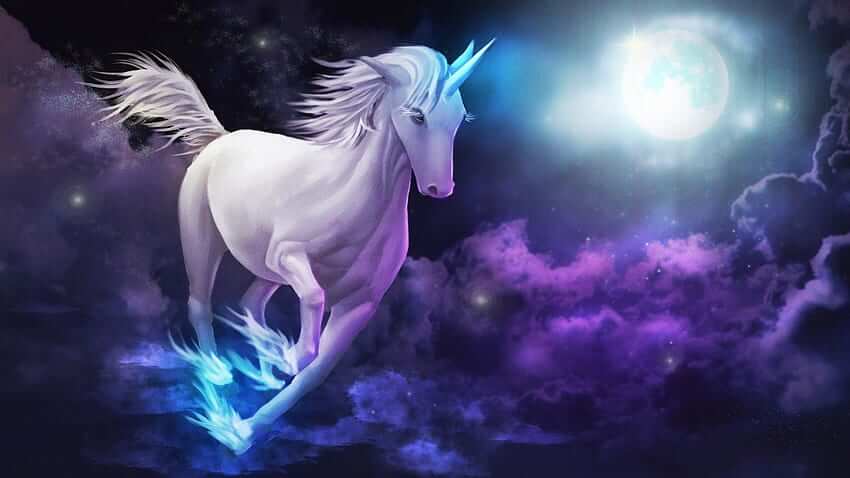 Unicorndelight88