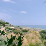 300 sunny days and no rush: the pace of life at Green Coast